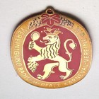 Karnevalorden Vereinigung Badisch-Pfälz. Karneval-Vereine Emaille-Orden RAR  II