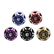 Cache-vis pour plaque d'immatriculation de pour fixer les plaques