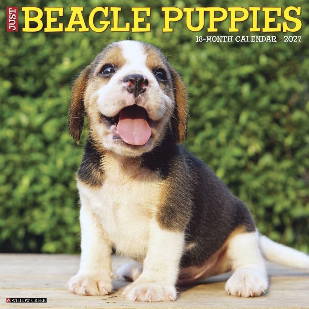 Beagle Puppies 2027 Wall - Image 7
