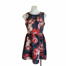 Tokito Size 10 Dress Blue Red Floral Mini Pleated A Line Fit & Flare Corporate