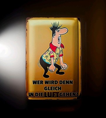 Blechschild - ''WER WIRD DENN GLEICH IN DIE LUFT GEHEN?''  - 20 x 30 cm - NEU!! 