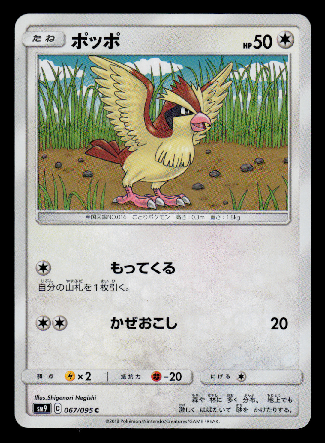 NM - Pokemon Pidgey 067/095 C Tag Bolt sm9 Japanese