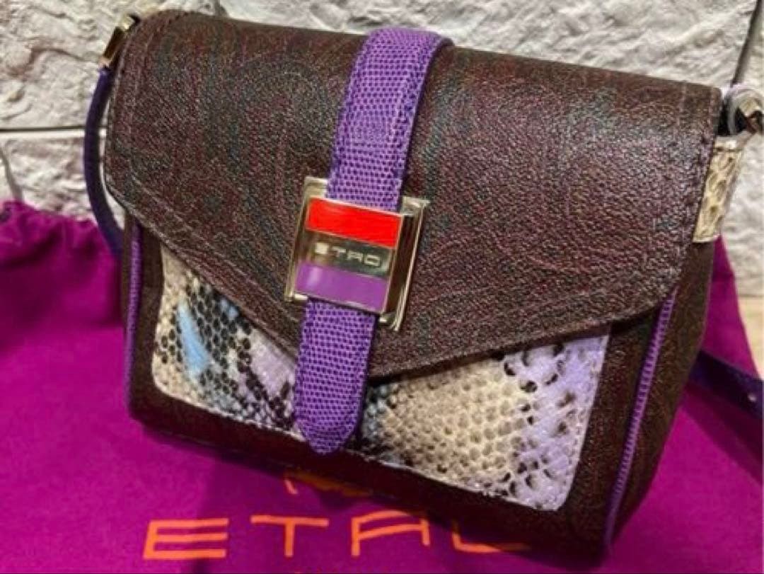 ETRO Python Snake Pattern Mini Shoulder Bag Brown… - image 2