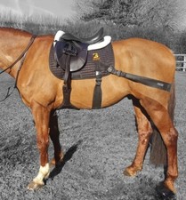 Equine Band Core Conditioning System von Equi...