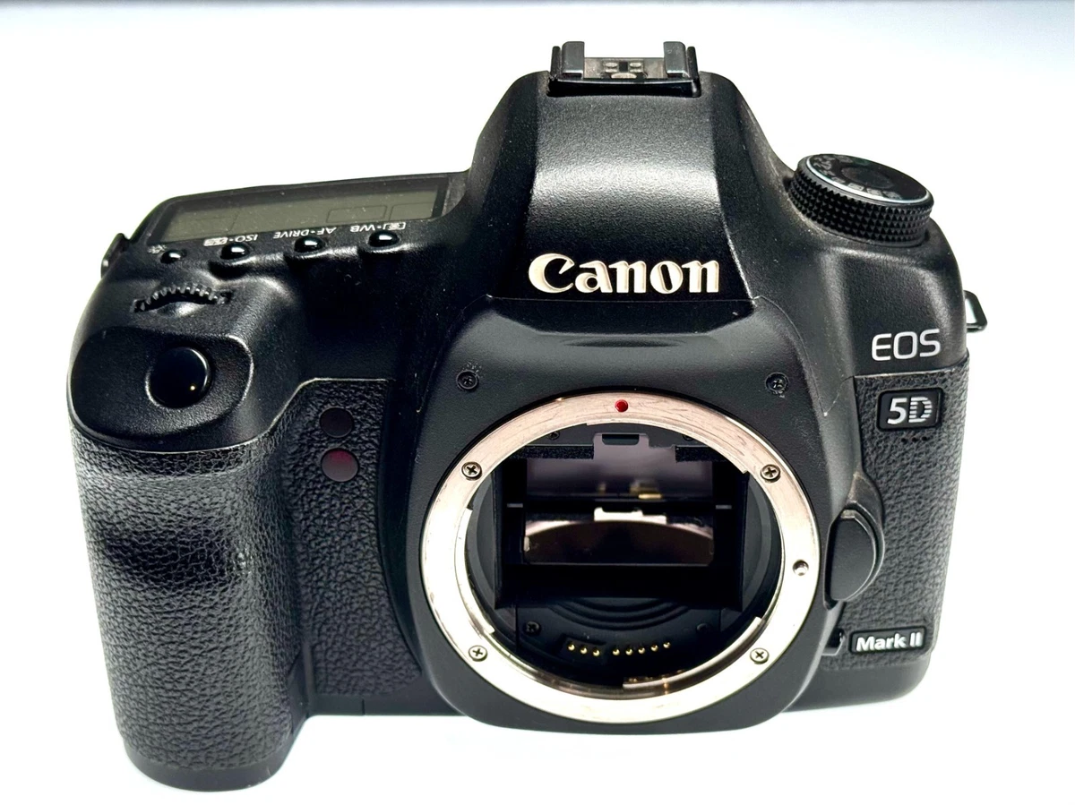 ★美品★キャノン EOS-1Ds MarkII DIGITAL #20417 ☆美品☆キャノン EOS-1Ds MarkII DIGITAL #20417