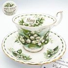Tazza da tè The in porcellana Royal Albert con mese tazzina inglese MAGGIO 1970