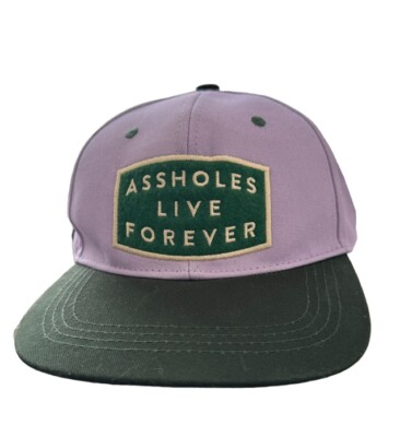 A**holes Live Forever Cap 90's Vibe | eBay