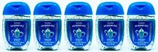 5 Bath Body Works BLUE RASPBERRY FREEZE Pocketbac AntiBac Hand Sanitizer Gel