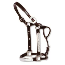 New! Circle Y Adjustable Dark oil ENGRAVED SILVER SHOW HALTER Size choice