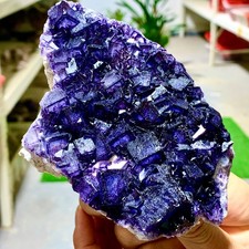 1.16LB Rare transparent purple cubic fluorite mineral crystal sample/China