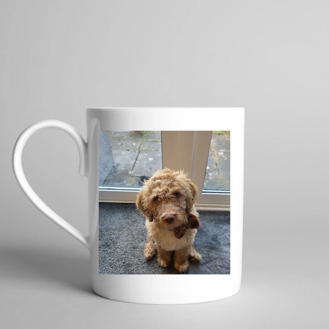 Arte de retrato de mascotas personalizado y regalo perfecto para amantes de perros y gatos boceto