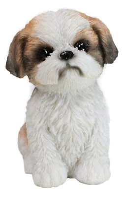 Adorable Lifelike Shih Tzu Puppy Dog Sitting Figurine with Glass Eyes Home Decor - Image 1 of 4