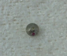 Plateaux - (Ref 730)  - Chaika / Velma 1600