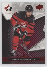 2018 Upper Deck Team Canada Juniors Exclusives 217/225 Jonah Gadjovich #11 1md