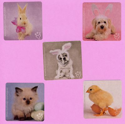10 Rachael Hale Easter Large Stickers - Bunny Rabbit, Puppy Dog, Kitten, Chick
