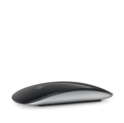 Original Apple Magic Mouse (USB-C) Schwarz 2024 Modell Typ-C A3204 Multitouch  