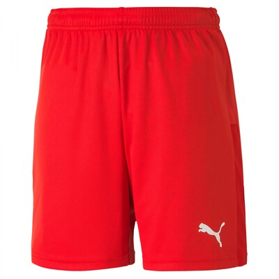 Puma teamGOAL 23 knit Shorts, Trainingsshort, Short