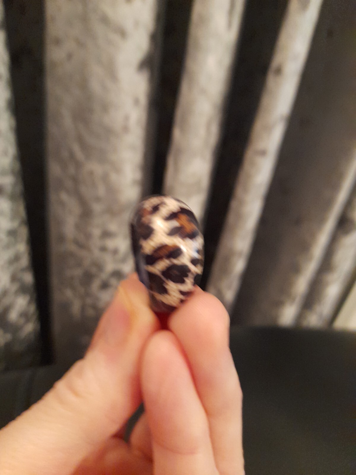 Picture 3 of 4