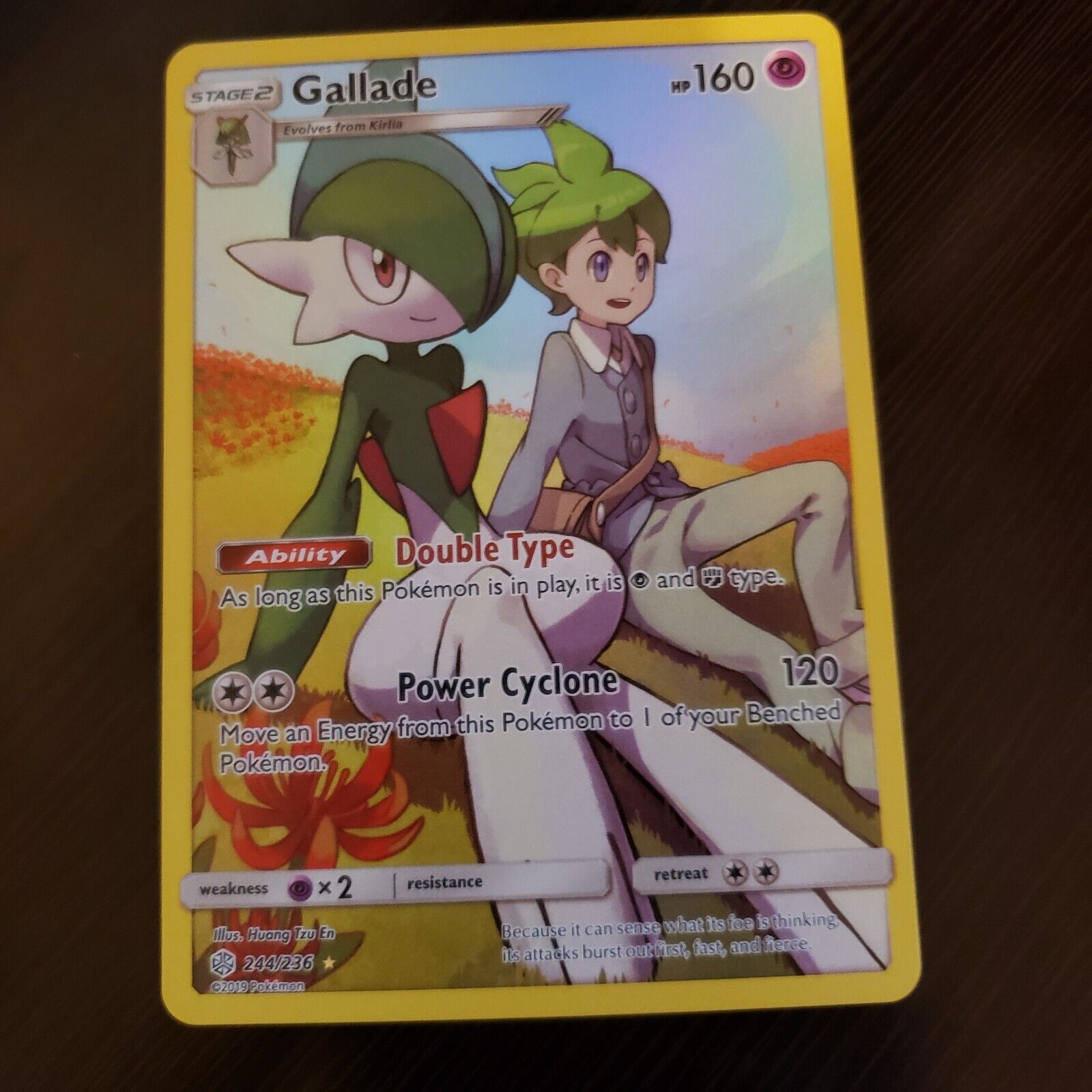 Pokémon tcg: Gallade (244/236) - SM12 Eclipse Cósmico em Promoção na  Americanas