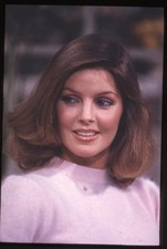 Priscilla Presley 1970's Dallas era Glamour Vintage Duplicate 35mm Transparency