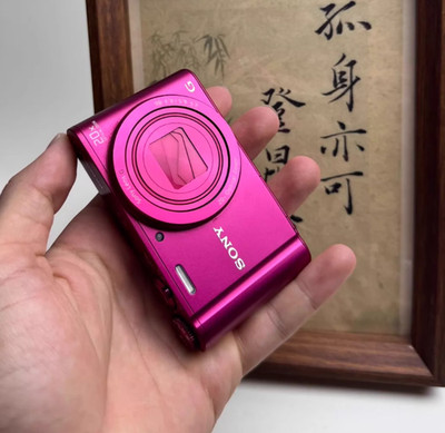 SONY Cyber-shot DSC-WX300 red 18.2MP 20x Zoom Compact Digital Camera English