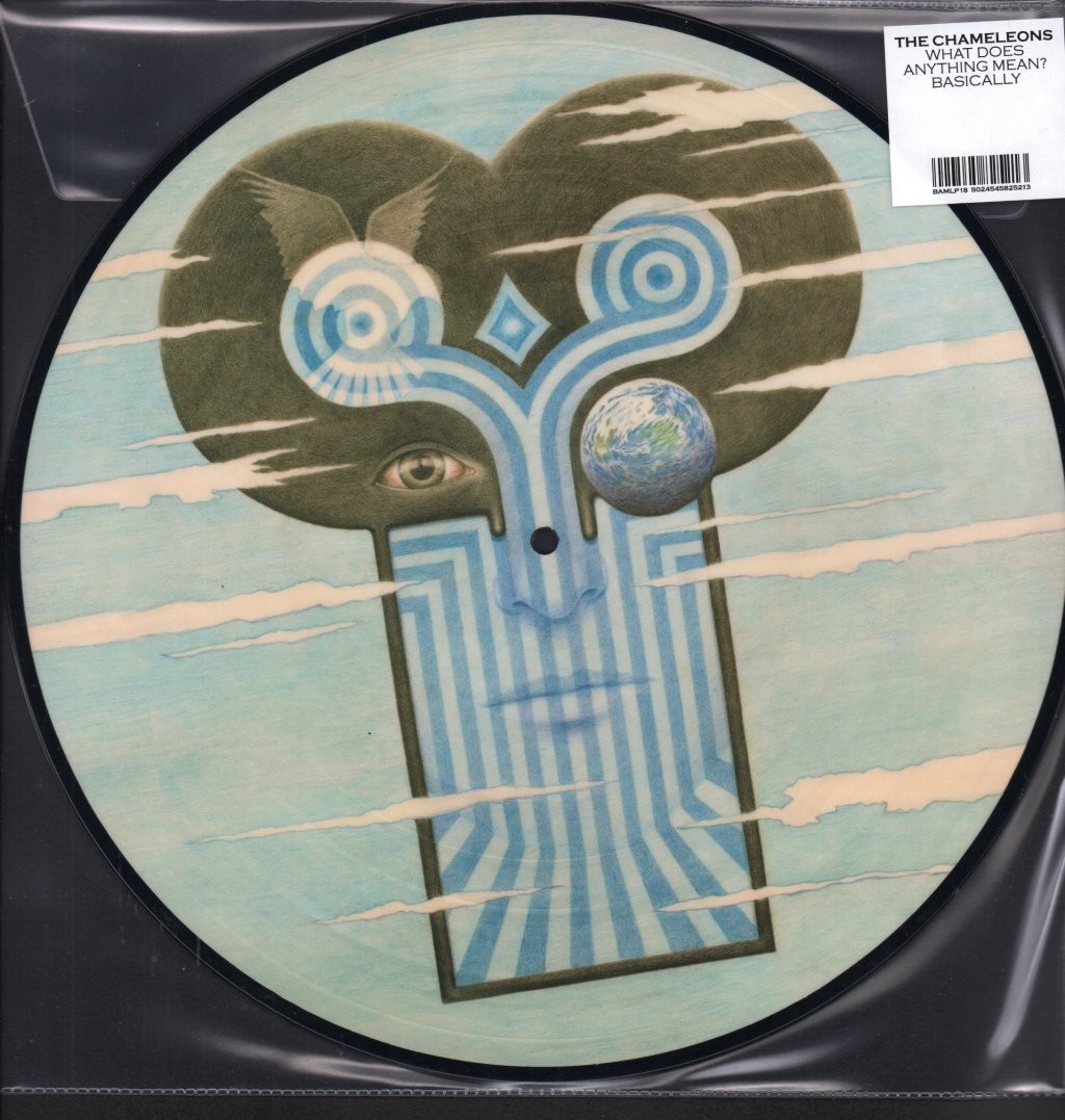 Chameleons What Does Anything Mean Basically LP vinyl UK Blue Apple Music 2018