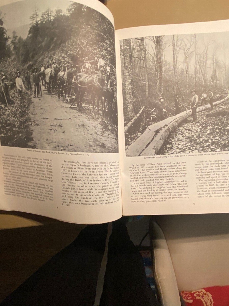 "Logging in Pennsylvania Northwoods" 1970 magazine booklet | eBay