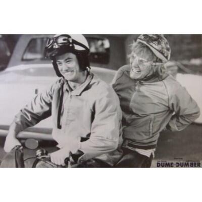 Dumb and Dumber Poster Large 24''x36'' Jim Carey Jeff, Daniels Movie Art Print New