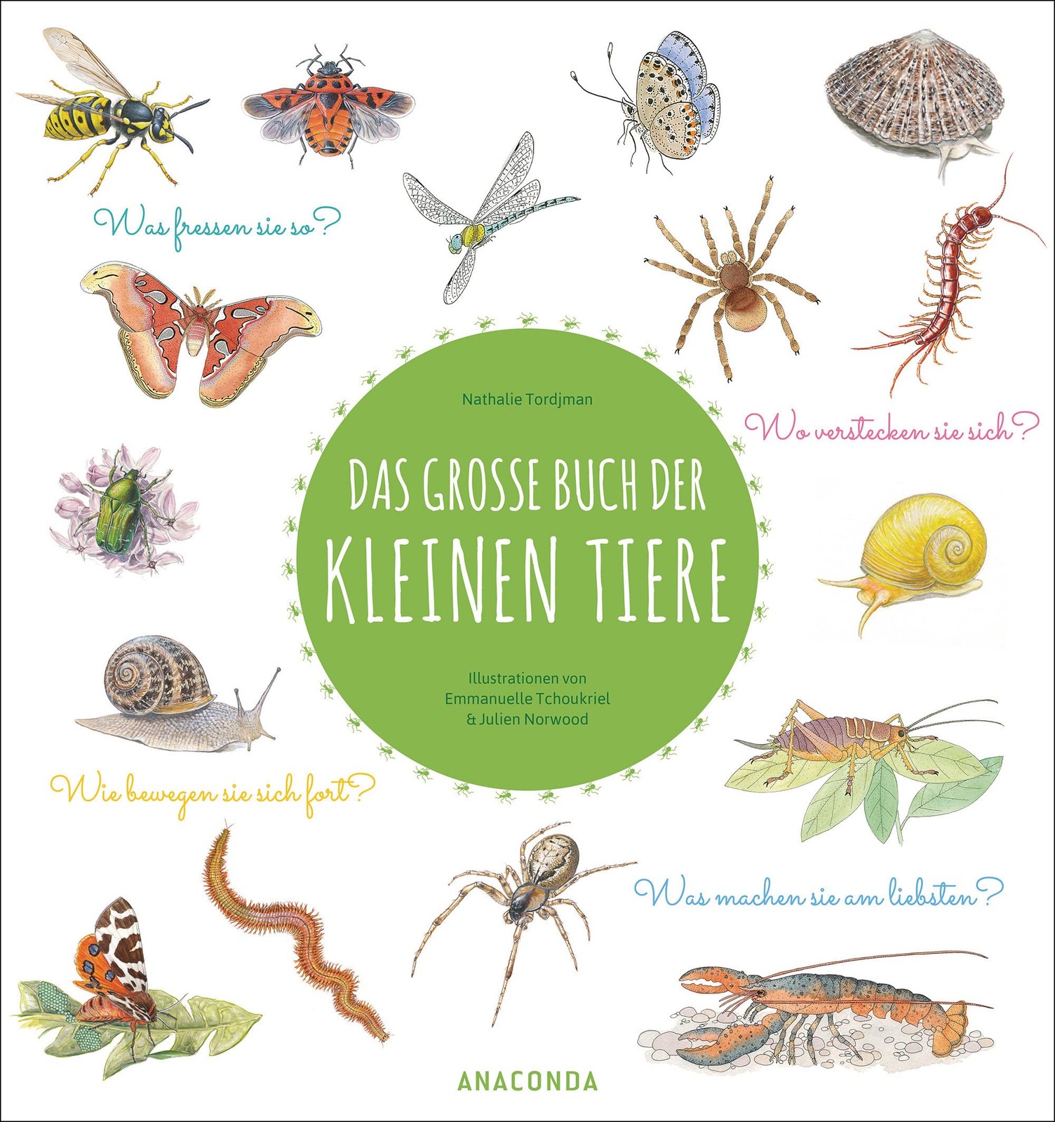 Nathalie Tordjm Das große Buch der kleinen Tiere: Wunderschön illustr (Hardback)