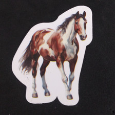 Beautiful Wild Horse Sticker 2.25" x 1.75" AB 