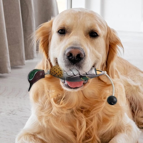 Dog Chewing Toy Keep Them Busy for Aggressive Chewers All Ages of Dogs