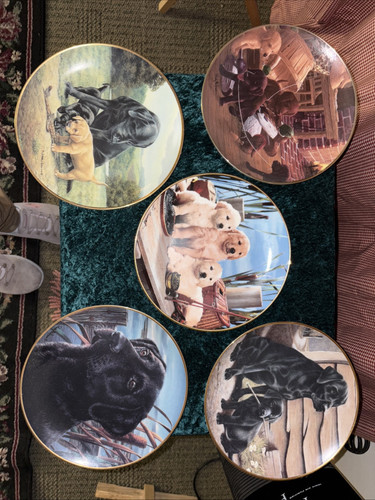Franklin Mint collector Plates Lot Of 5 Labrador