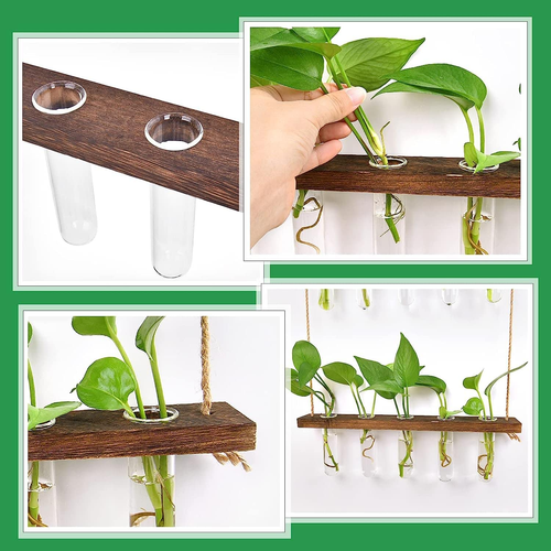 Propagation Station, Wall Hanging Planter Terrarium Retro 3 Tiered Propagation T - Picture 3 of 12