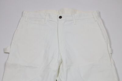 【Dead Stock】Sherwin Williams × Dickies Dickies Painter's Pants | Sherwin-Williams