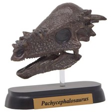FDW-508 Pachycephalosaurus Skull Mini Figure Model Dinosaur