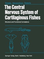 The Central Nervous System Of Cartilaginous Fishes W. J. A. J. Smeets