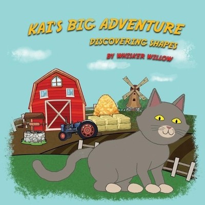 Kai's Big Adventure: Discovering Shapes by Roland Zsigmond Paperback Book