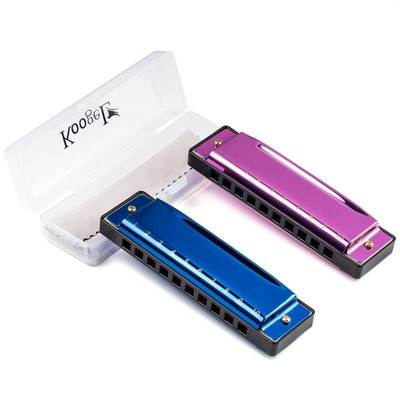 Koogel 2PCS Metal Harmonica for Kids Adults Diatonic Blues Harp Mouth Organ Mus