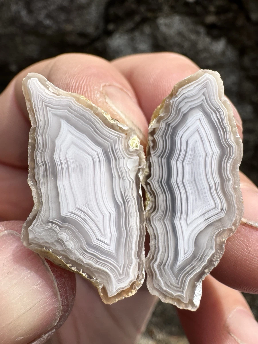 Laguna Agate for sale | eBay
