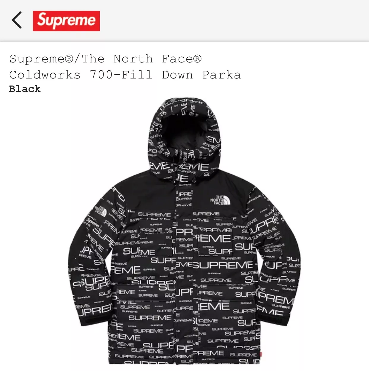 supreme / the north face   cold works 700 fill Down Parka veste large