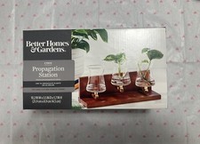 3 Glass Vase Propagation Station With Wooden Stand