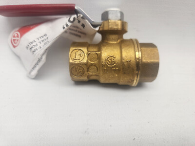 Miei T　1001 4X1000PKC5E-3__39367.jpg?v=