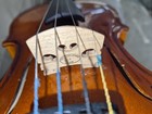 elegant  1/2 size violin with BOBELOCK I case — photo 9