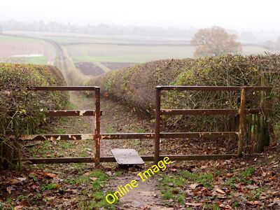 Foto 12x8 Bestwood Country Park Umgebung, Notts. NG5 Arnold\/SK5945 Grazi c2014