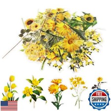 Transparent Flower Stickers for Scrapbooking PET Nature Plant Stickers Floral