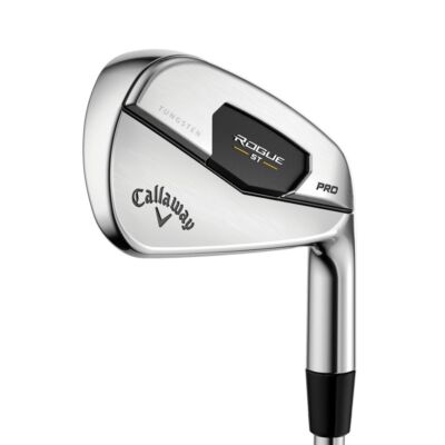 Callaway ROGUE Pro ウェッジ CALLAWAY ROGUE ST PRO APPROACH WEDGE 48° GRAPHITE LIGHT | eBay