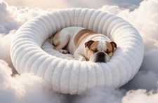 Self Warming Pet Bed, Donut Dog Bed for Small  Medium Dogs, Self-Heating Pet...
