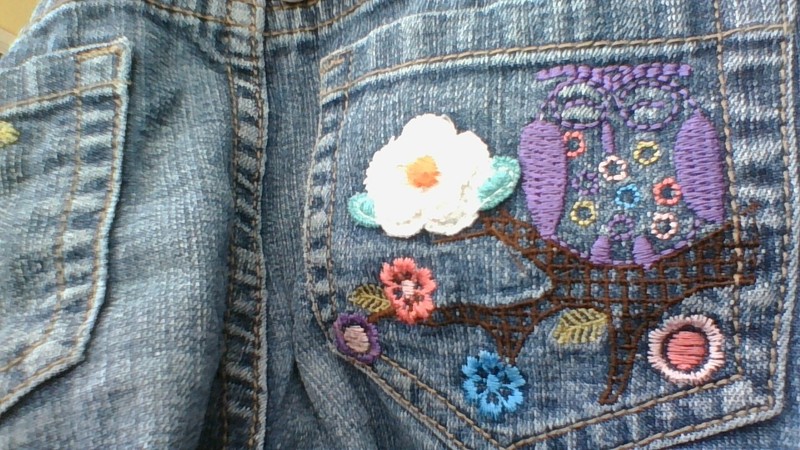 EMBROIDERED OWL/FLORAL Arizona Jeans 6X Denim Shorts GEM FRONT Boho Happy *Flaw