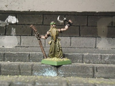 hengus the druid giants of albion metal warhammer