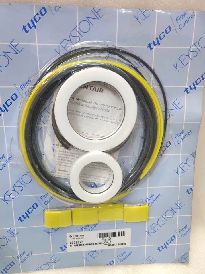KIT REPARACIÓN PENTAIR 2025625 PARA F79U 090 DA/SR - NUEVO Foto 3 de 4